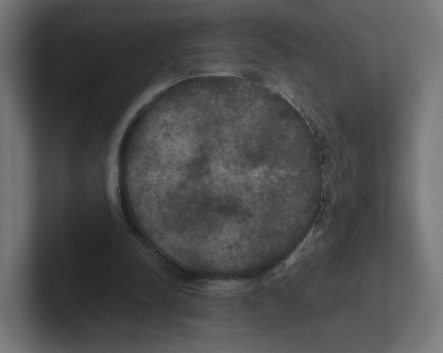 X0000102300342200808221425