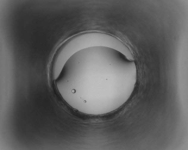 X0000102300344200808221425