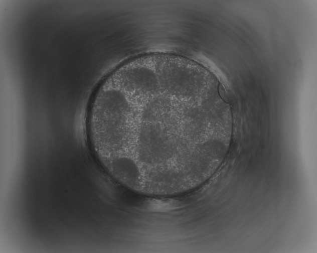 X0000102300346200808221425