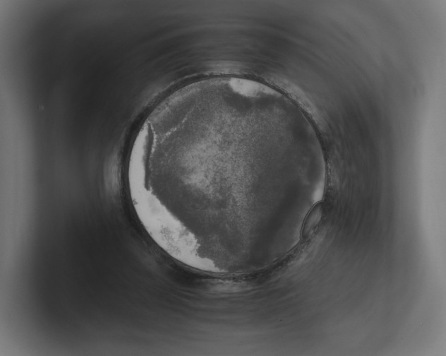 X0000102300347200808221425