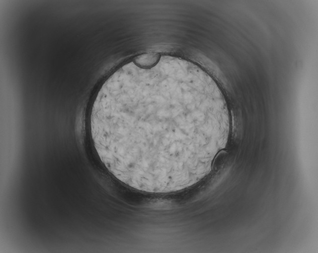 X0000102300348200808221425