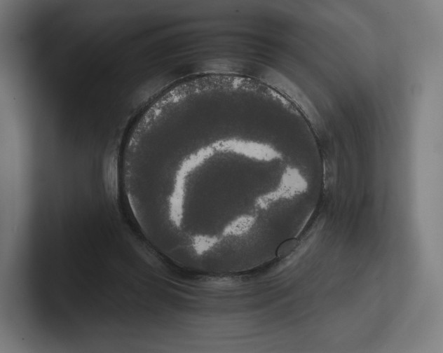 X0000102300349200808221425