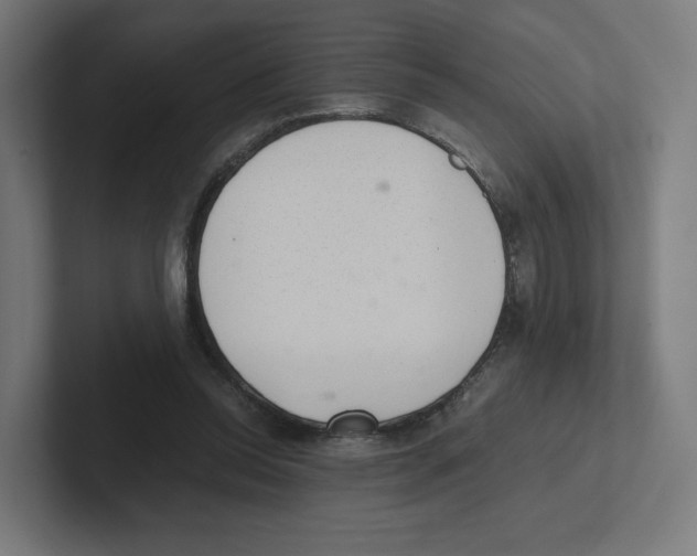 X0000102300350200808221425