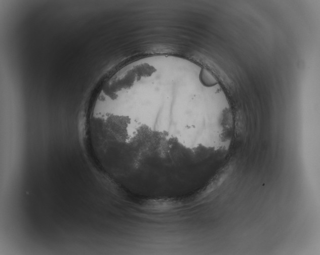 X0000102300351200808221425