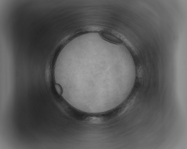 X0000102300352200808221425