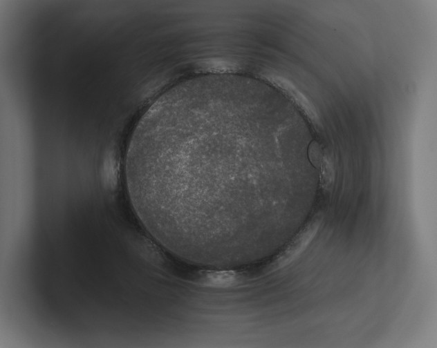 X0000102300355200808221425