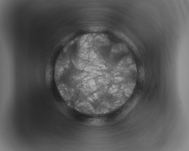 X0000102300356200808221425