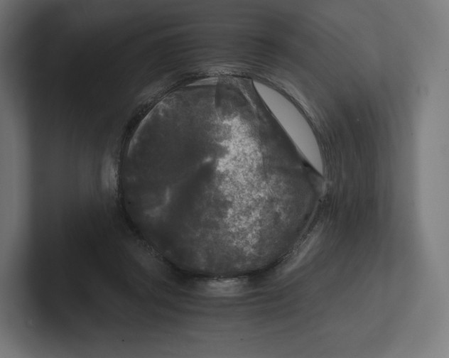 X0000102300357200808221425