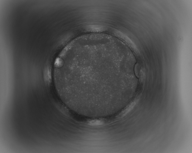 X0000102300358200808221425