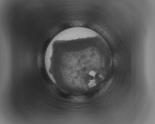 X0000102300359200808221425