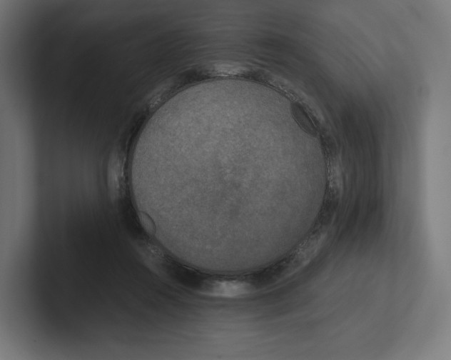 X0000102300360200808221426