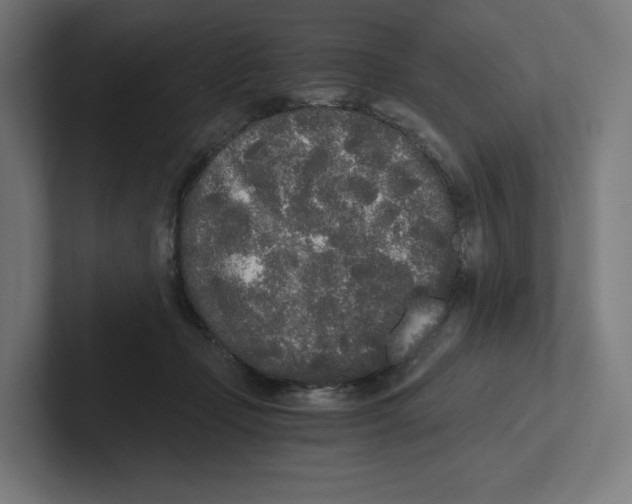 X0000102300365200808221426