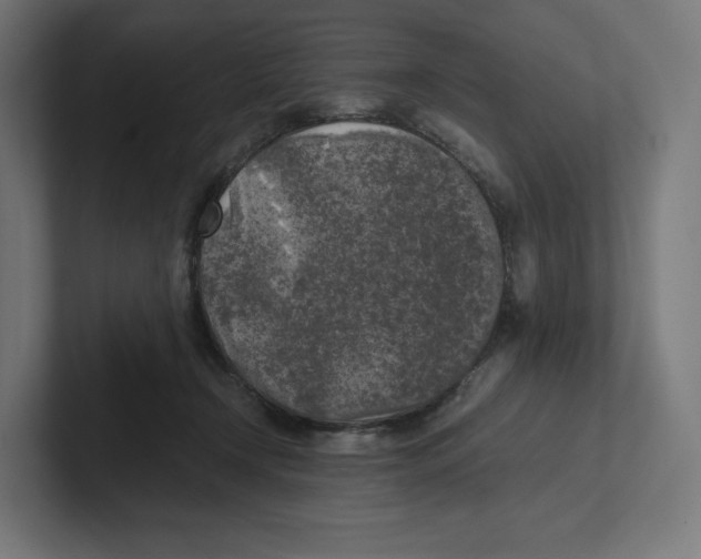 X0000102300366200808221426