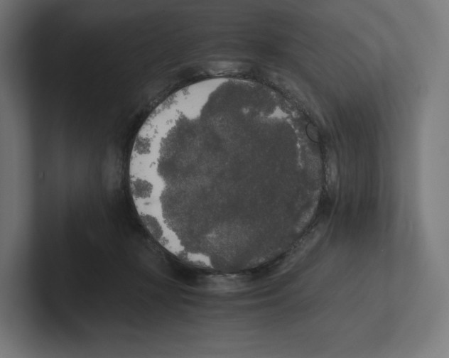 X0000102300367200808221426