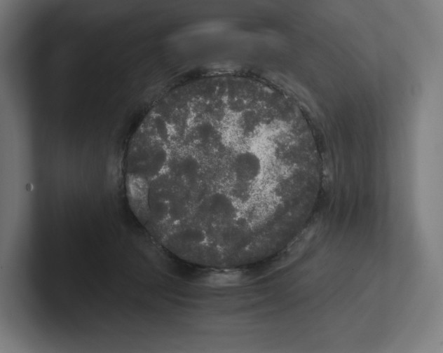 X0000102300369200808221426