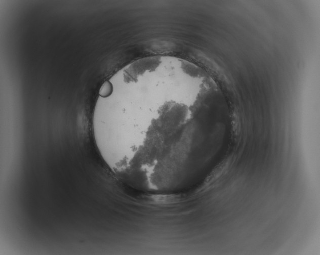 X0000102300371200808221426
