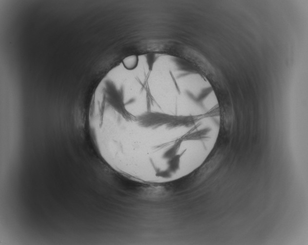 X0000102300374200808221426