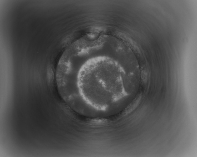 X0000102300375200808221426