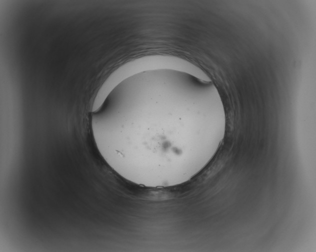 X0000102300376200808221426