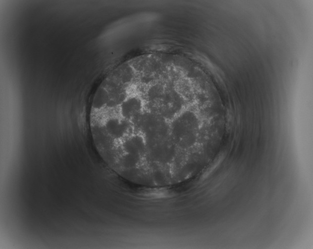X0000102300377200808221426