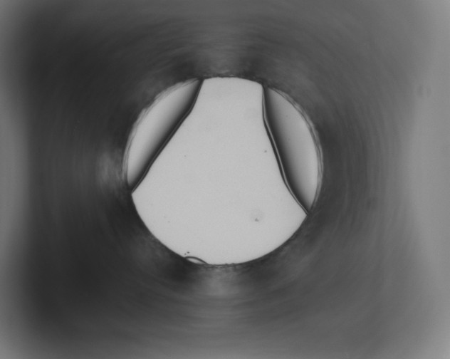 X0000102300384200808221426