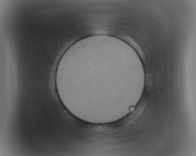 X0000102300385200808221425