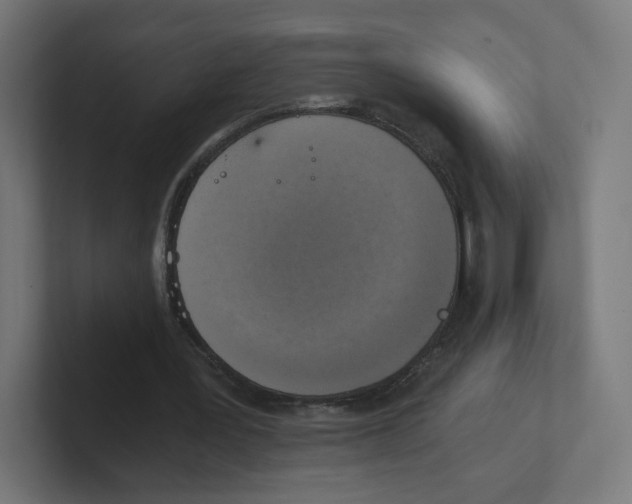 X0000102300387200808221425