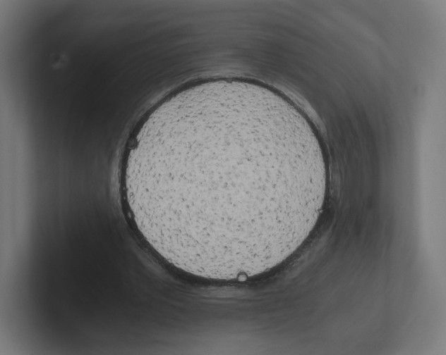 X0000102300389200808221425