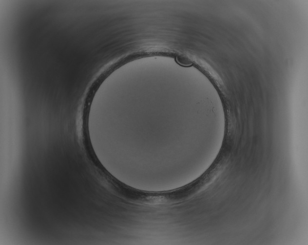 X0000102300391200808221425