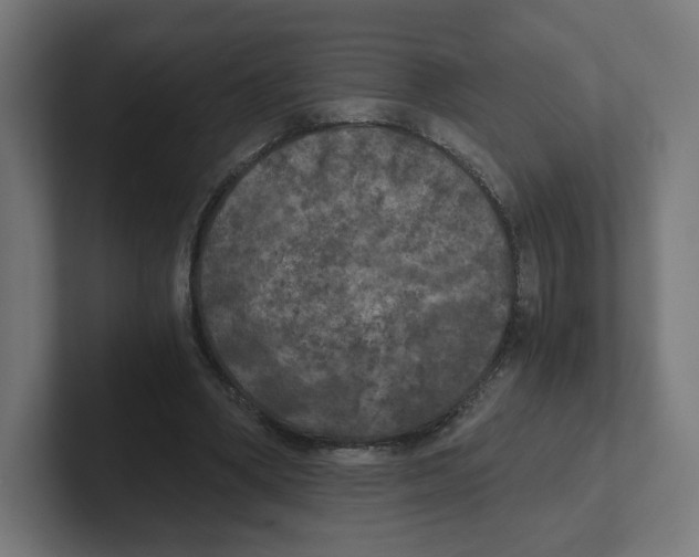 X0000102300394200808221425