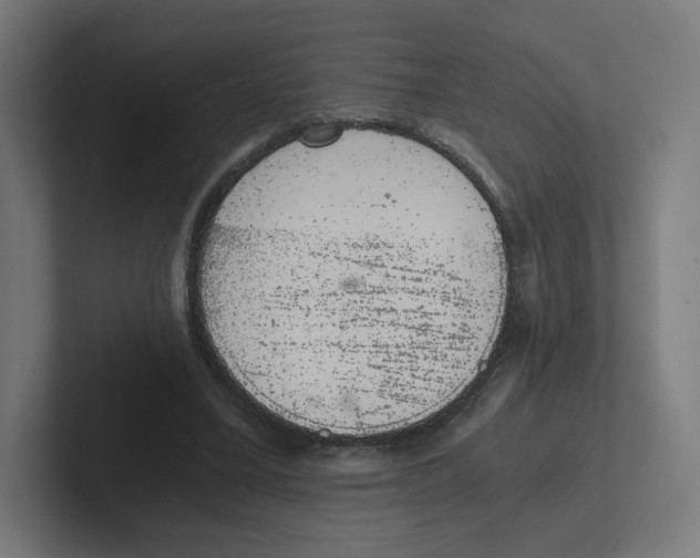 X0000102300395200808221425