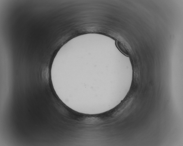 X0000102300397200808221425