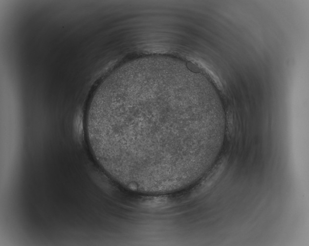 X0000102300398200808221425
