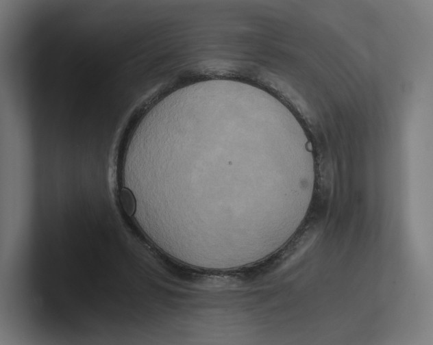X0000102300399200808221425