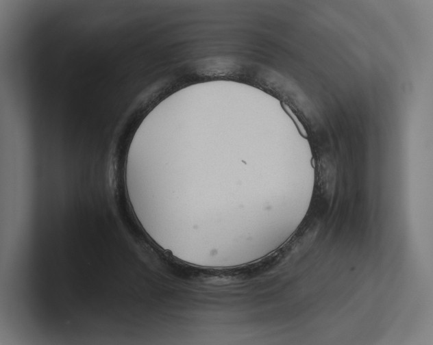 X0000102300400200808221425