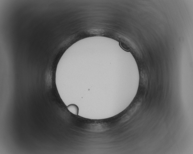 X0000102300404200808221425