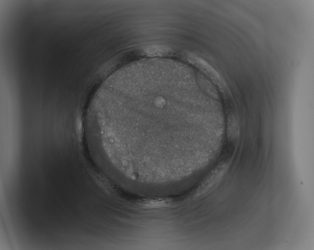 X0000102300405200808221425