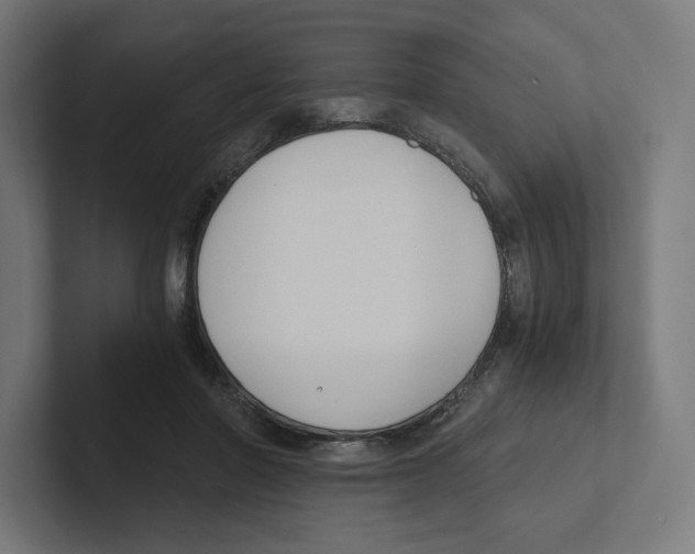 X0000102300406200808221425