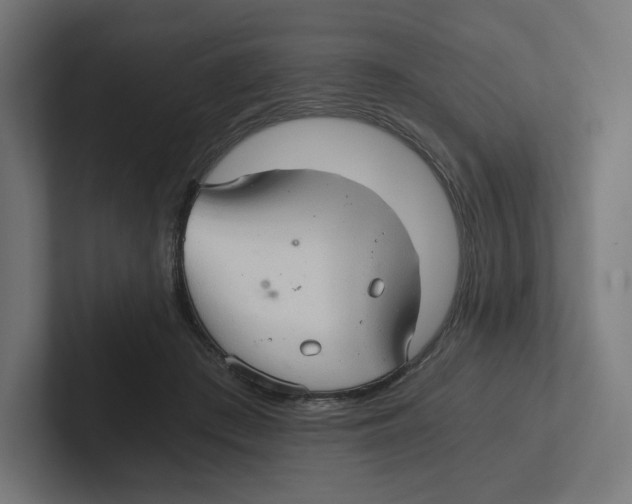 X0000102300409200808221425