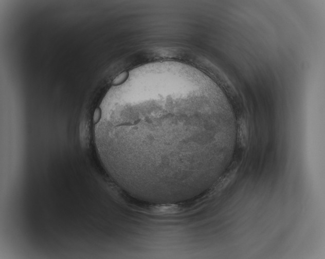 X0000102300410200808221425