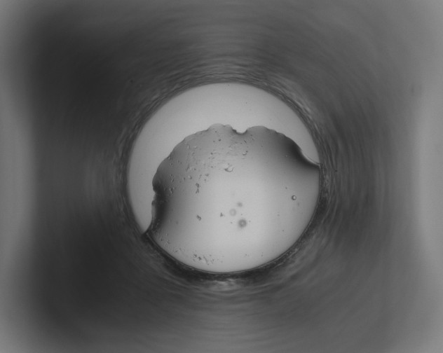 X0000102300411200808221425