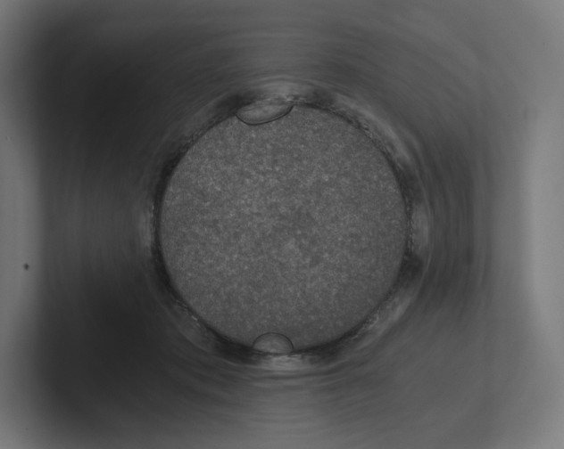 X0000102300413200808221425