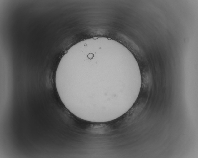 X0000102300414200808221425