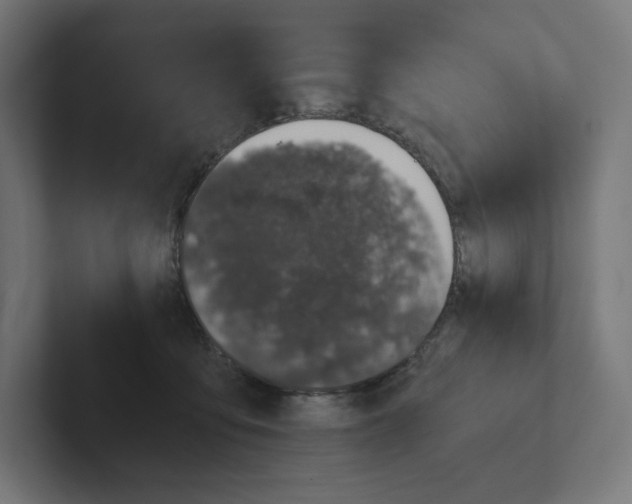 X0000102300419200808221425