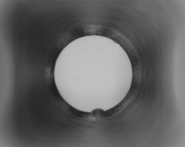 X0000102300420200808221425