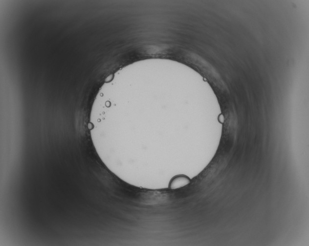 X0000102300421200808221425
