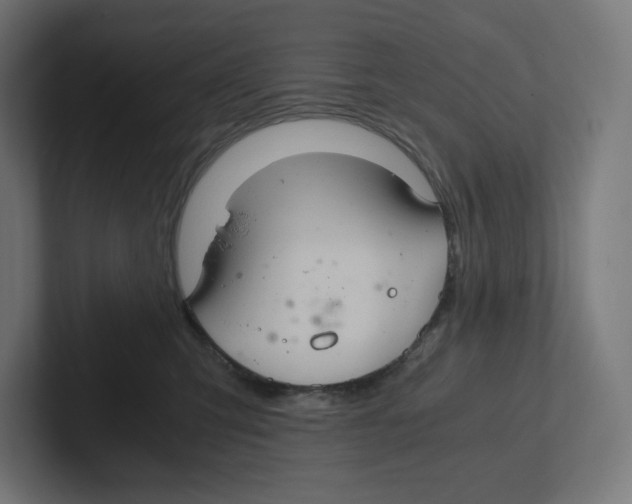 X0000102300423200808221425