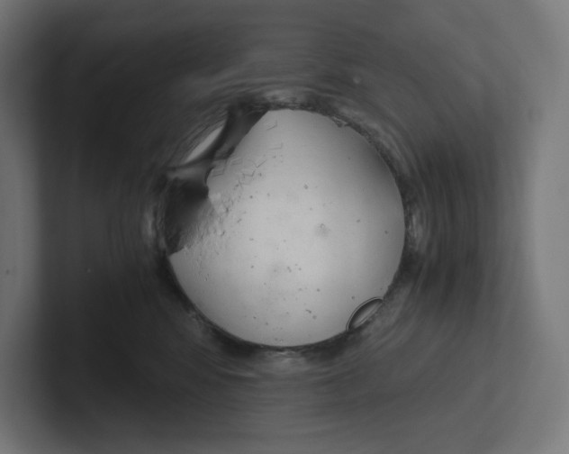 X0000102300424200808221425