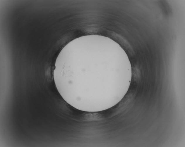 X0000102300428200808221425
