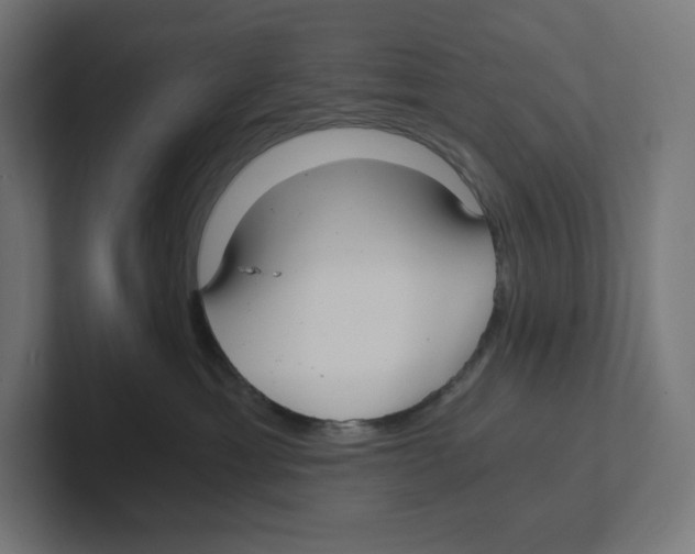 X0000102300429200808221425